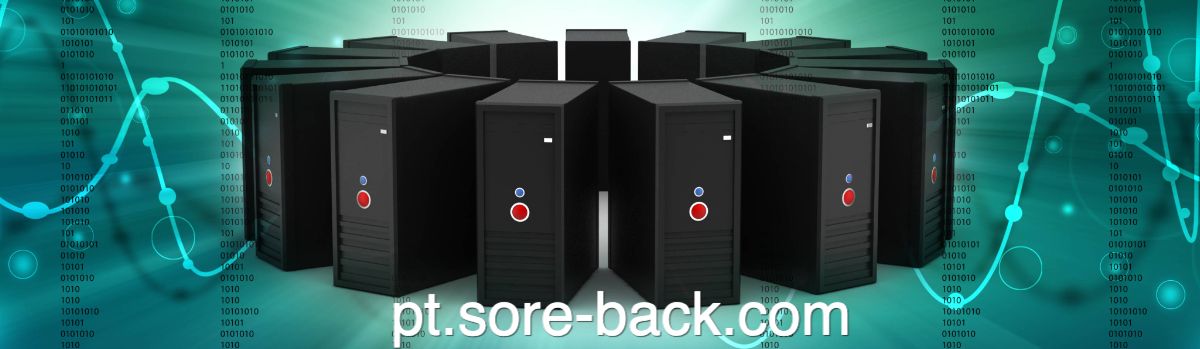 pt.sore-back.com